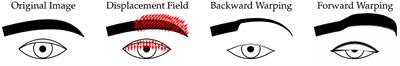 Lagrangian motion magnification with double sparse optical flow decomposition